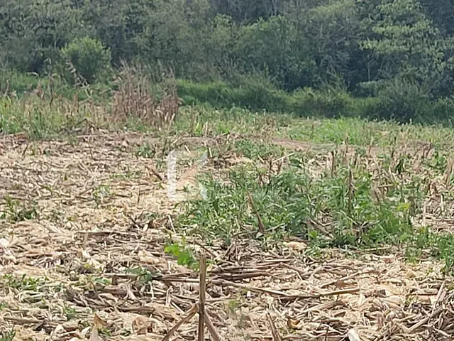 Sítio com 20000m², à venda, no bairro Centro em Monte Mor