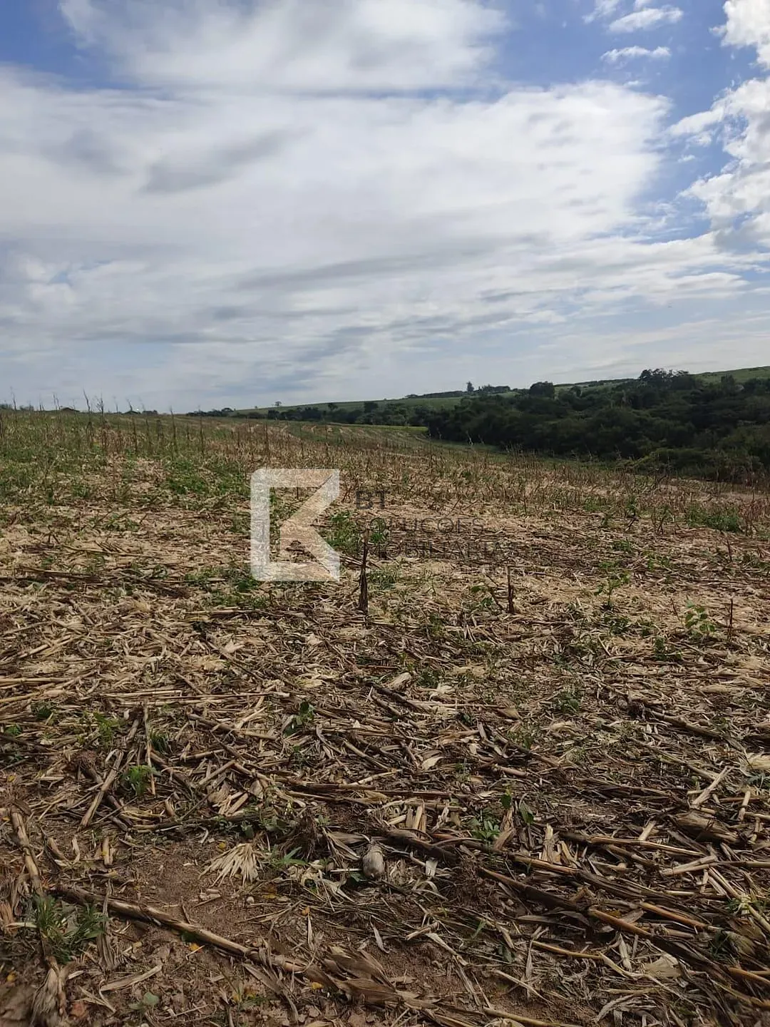 Sítio, 2 hectares - Foto 1