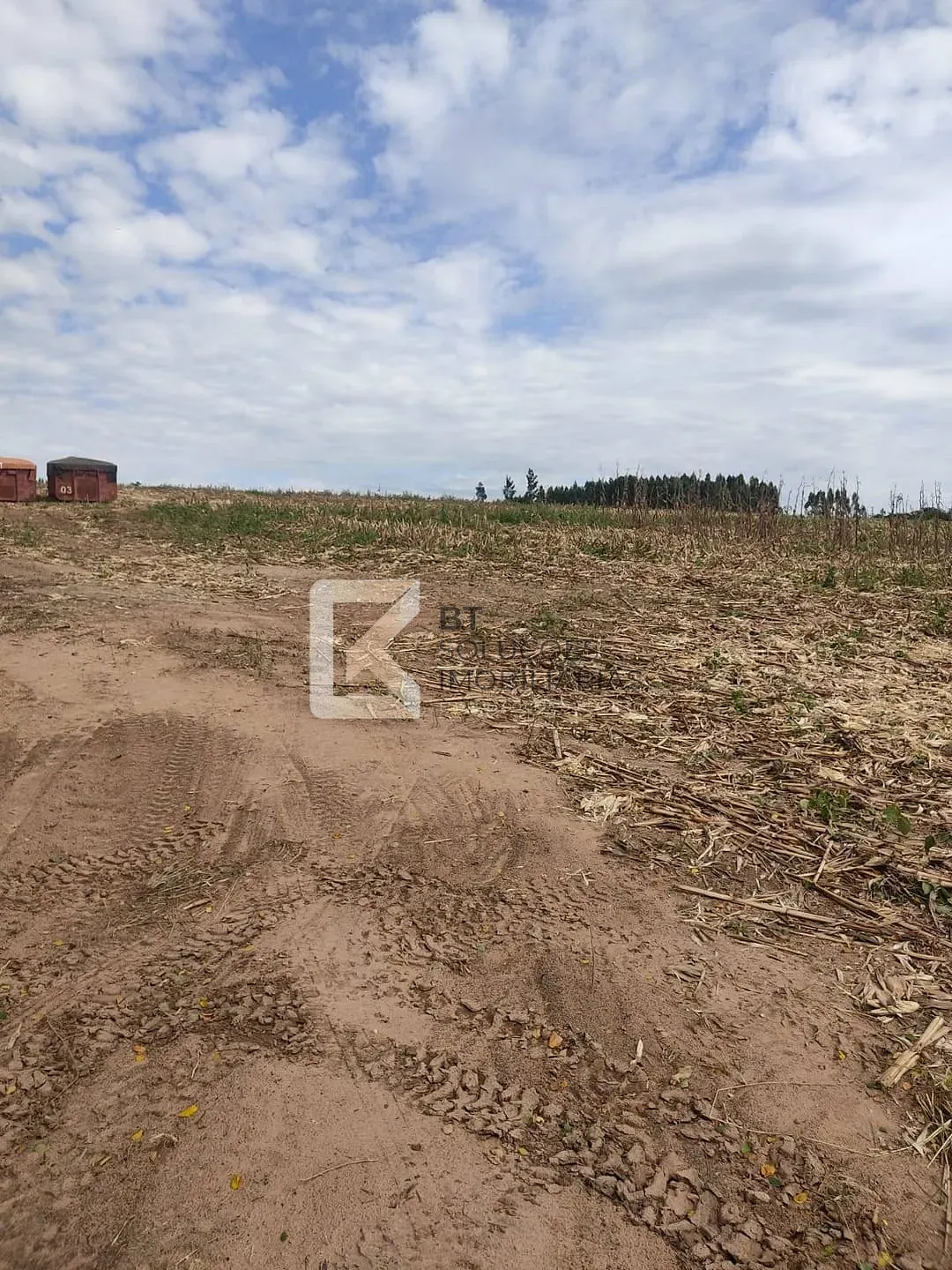 Sítio, 2 hectares - Foto 4