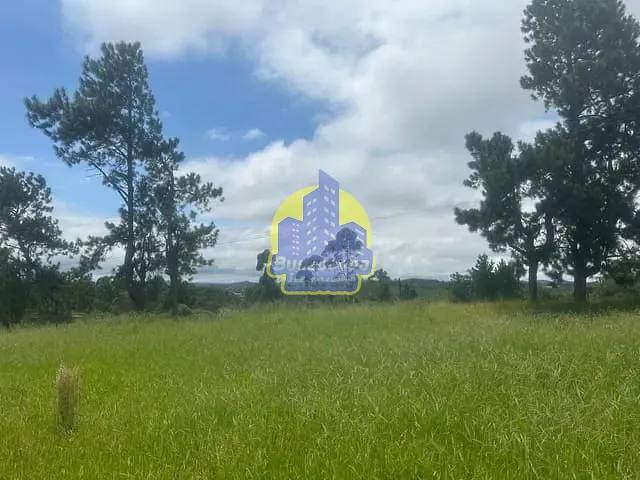 Sítio com 24000m², à venda, no bairro Bairro Carmo Messias em Ibiúna