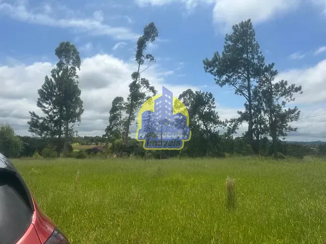 Sítio com 24000m², à venda, no bairro Bairro Carmo Messias em Ibiúna