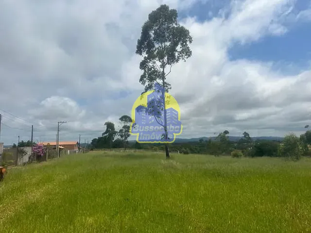 Sítio com 24000m², à venda, no bairro Bairro Carmo Messias em Ibiúna