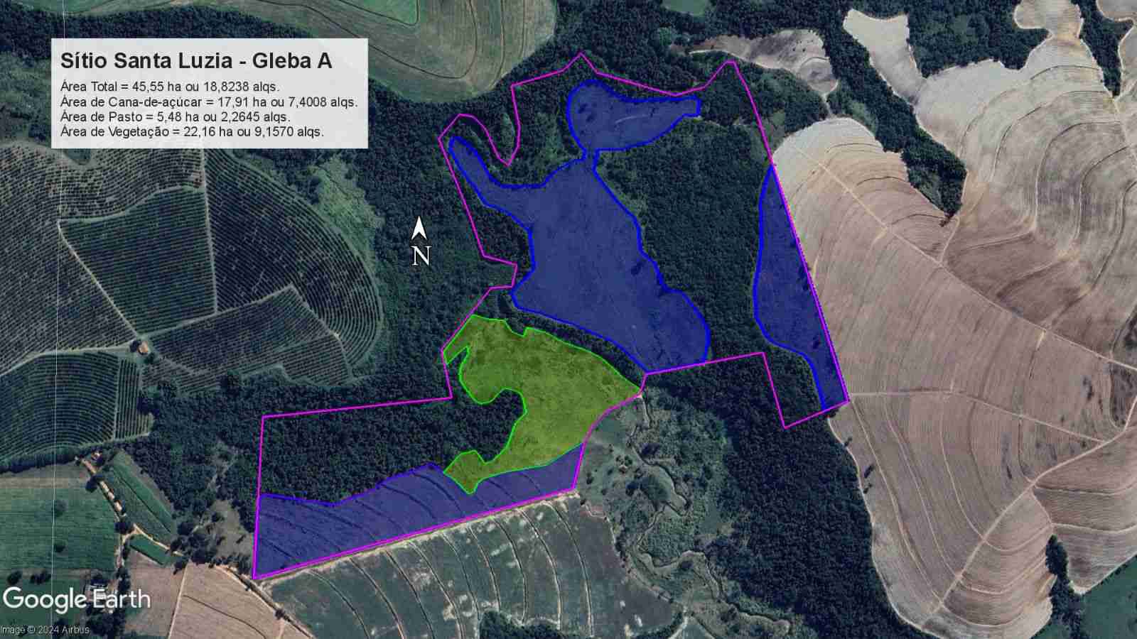 Sítio, 45 hectares - Foto 8