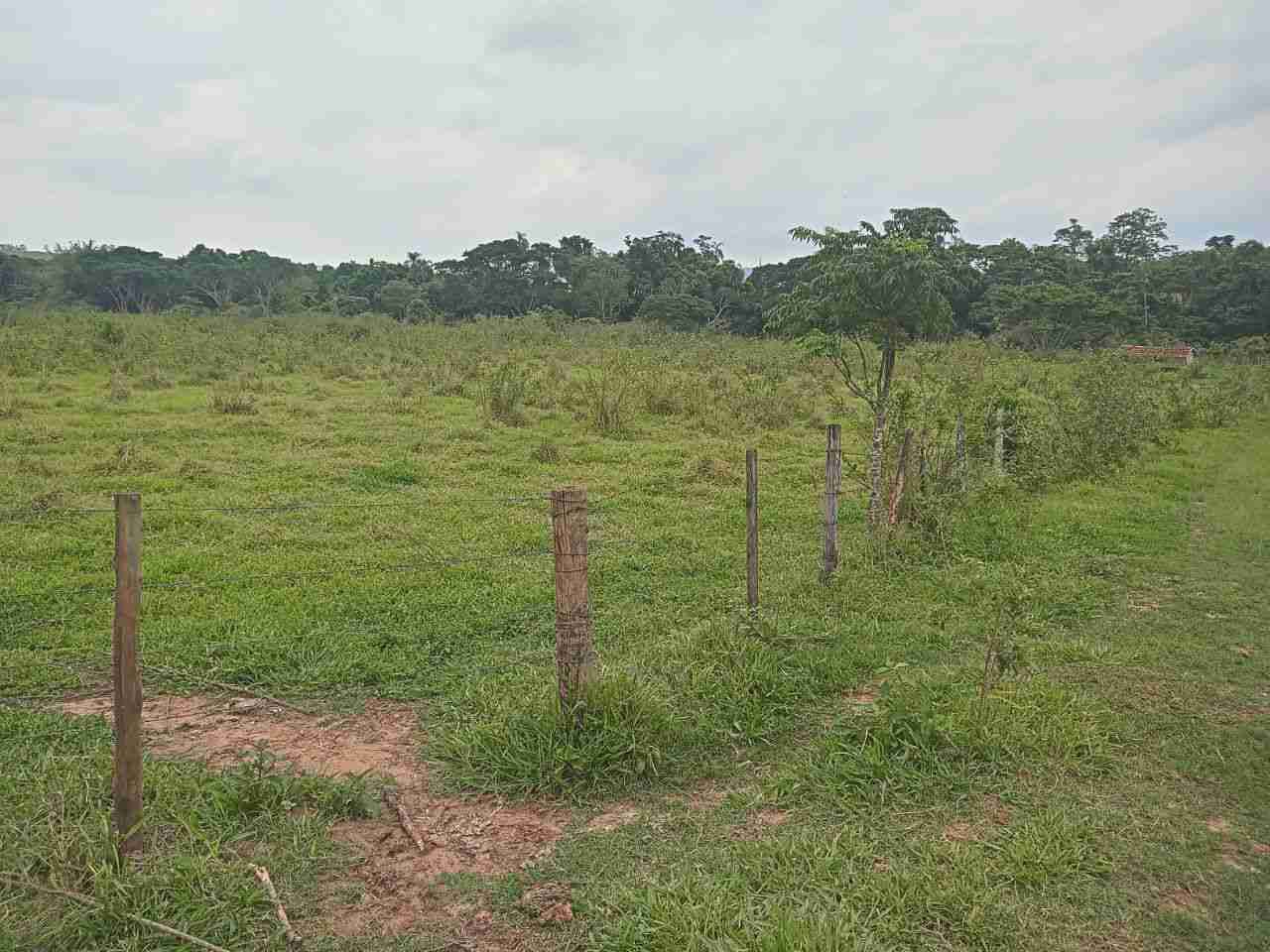 Sítio, 45 hectares - Foto 2