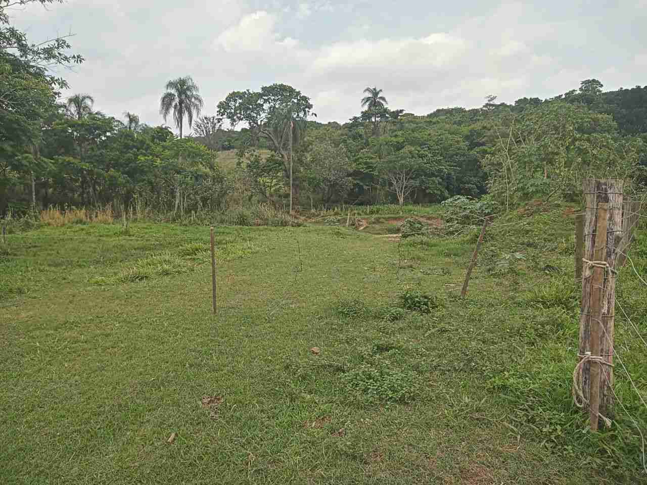 Sítio, 45 hectares - Foto 7