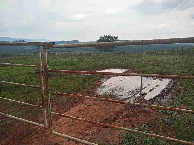 Sítio com 454960m², à venda, no bairro Centro em São Pedro