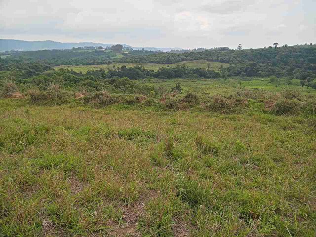 Sítio com 454960m², à venda, no bairro Centro em São Pedro