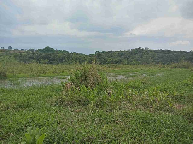 Sítio com 454960m², à venda, no bairro Centro em São Pedro