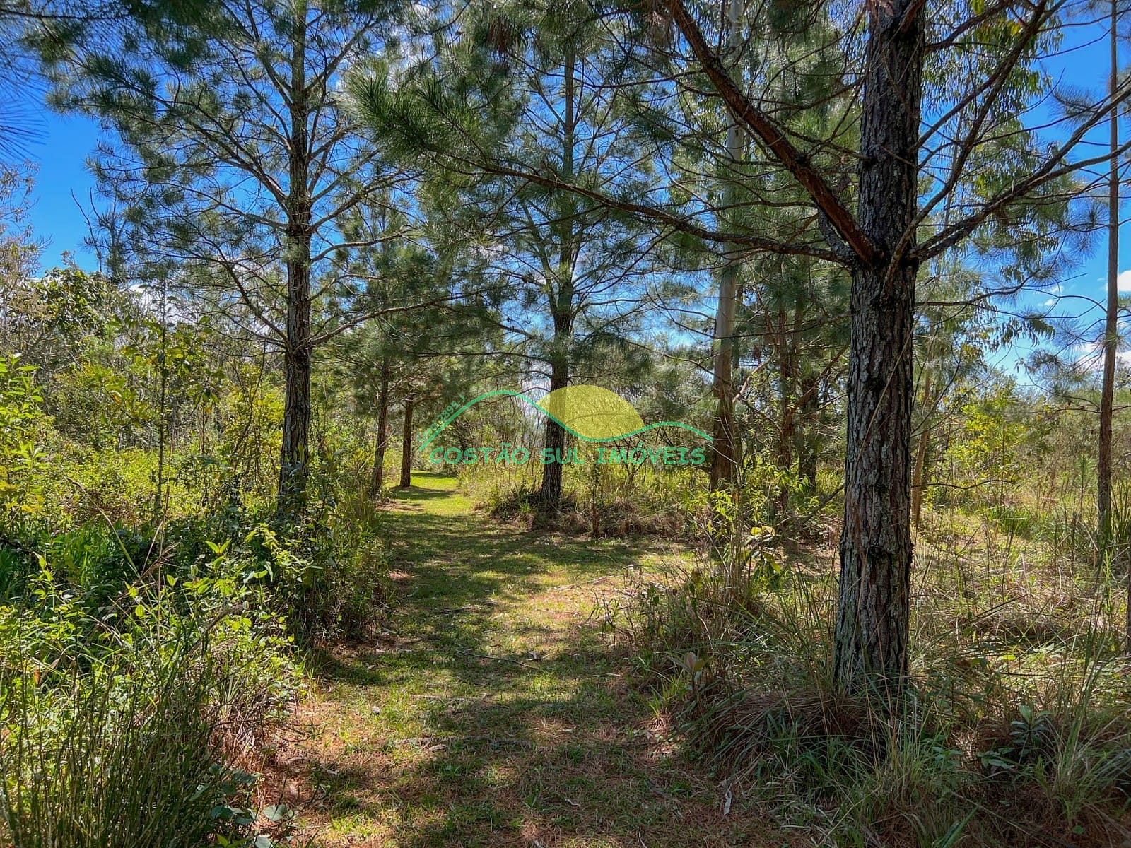 Chácara, 2 quartos, 3 hectares - Foto 20