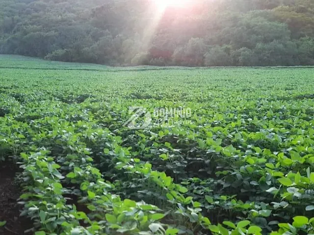 Sítio com 70000m², à venda, no bairro Peirópolis em Uberaba