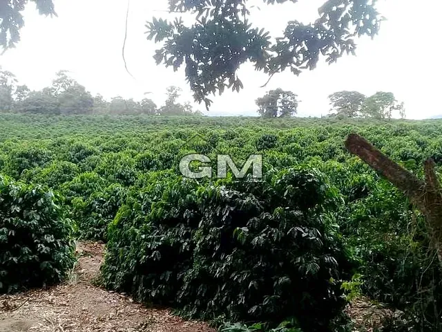Sítio com 60500m², à venda, no bairro Área Rural de Caconde em Caconde