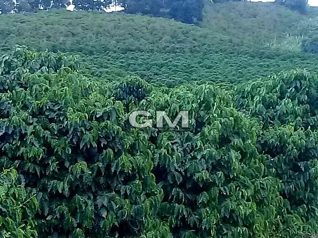 Sítio com 60500m², à venda, no bairro Área Rural de Caconde em Caconde