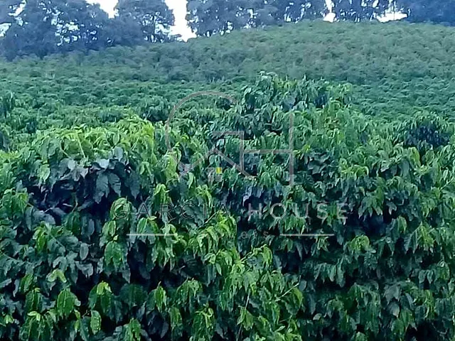 Sítio com 60500m², à venda, no bairro Área Rural de Caconde em Caconde