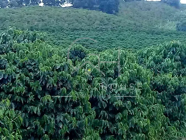 Sítio com 60500m², à venda, no bairro Área Rural de Caconde em Caconde