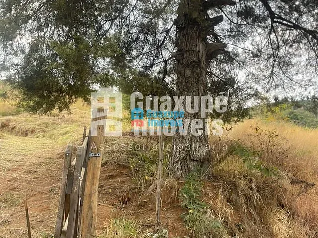 Sítio com 75m² 2 quartos e 1 banheiro, à venda, no bairro Corrego Fundo em GUARANÉSIA