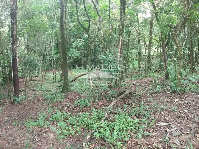 Sítio com 200m² 2 quartos e 1 banheiro, à venda, no bairro Área Rural de Artur Nogueira em Artur Nogueira