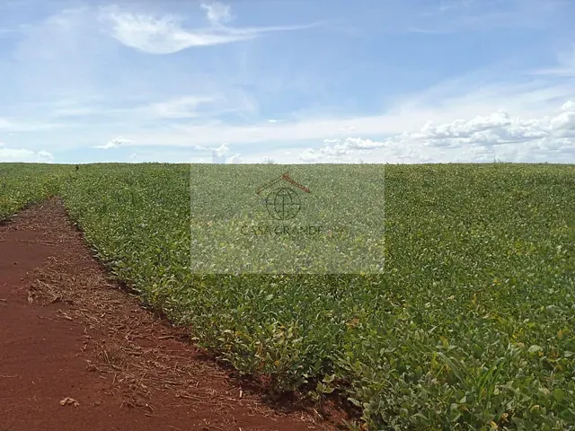 Sítio com 209m², à venda, no bairro Nossa Senhora da Aparecida em Nossa Senhora da Aparecida