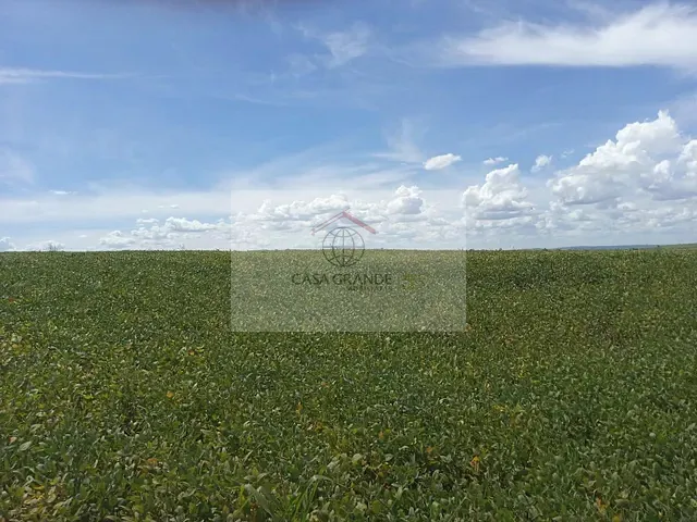 Sítio com 209m², à venda, no bairro Nossa Senhora da Aparecida em Nossa Senhora da Aparecida