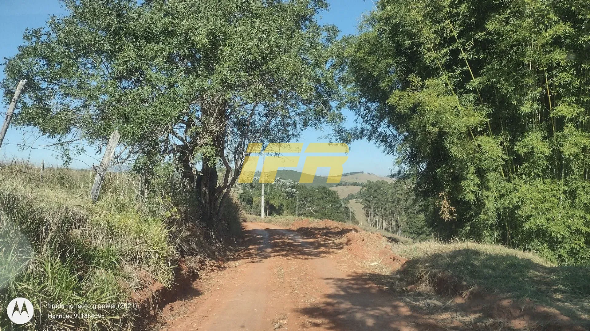 Fazenda, 31 hectares - Foto 4