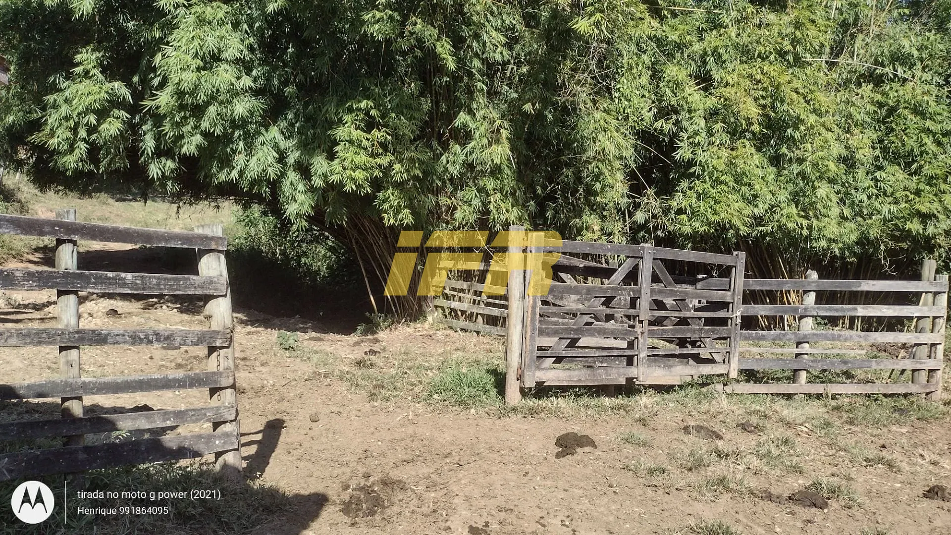 Fazenda, 31 hectares - Foto 25
