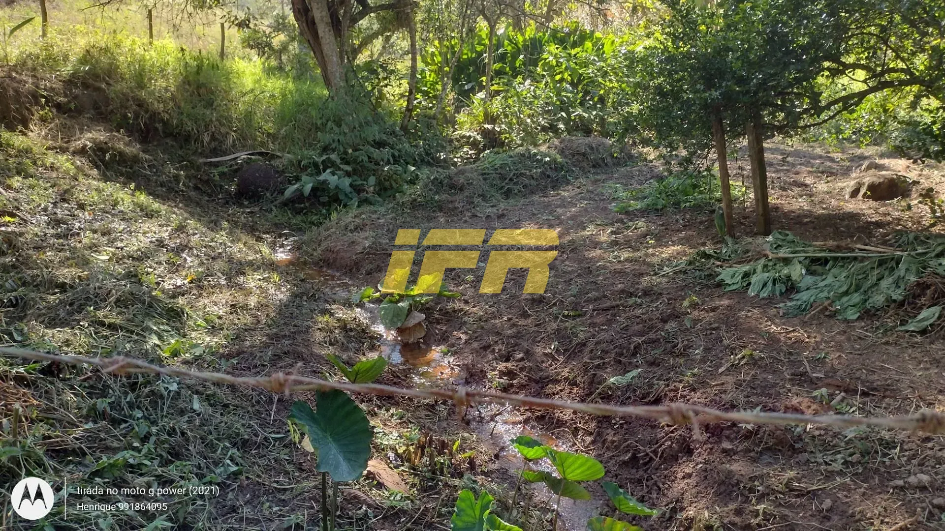 Fazenda, 31 hectares - Foto 21