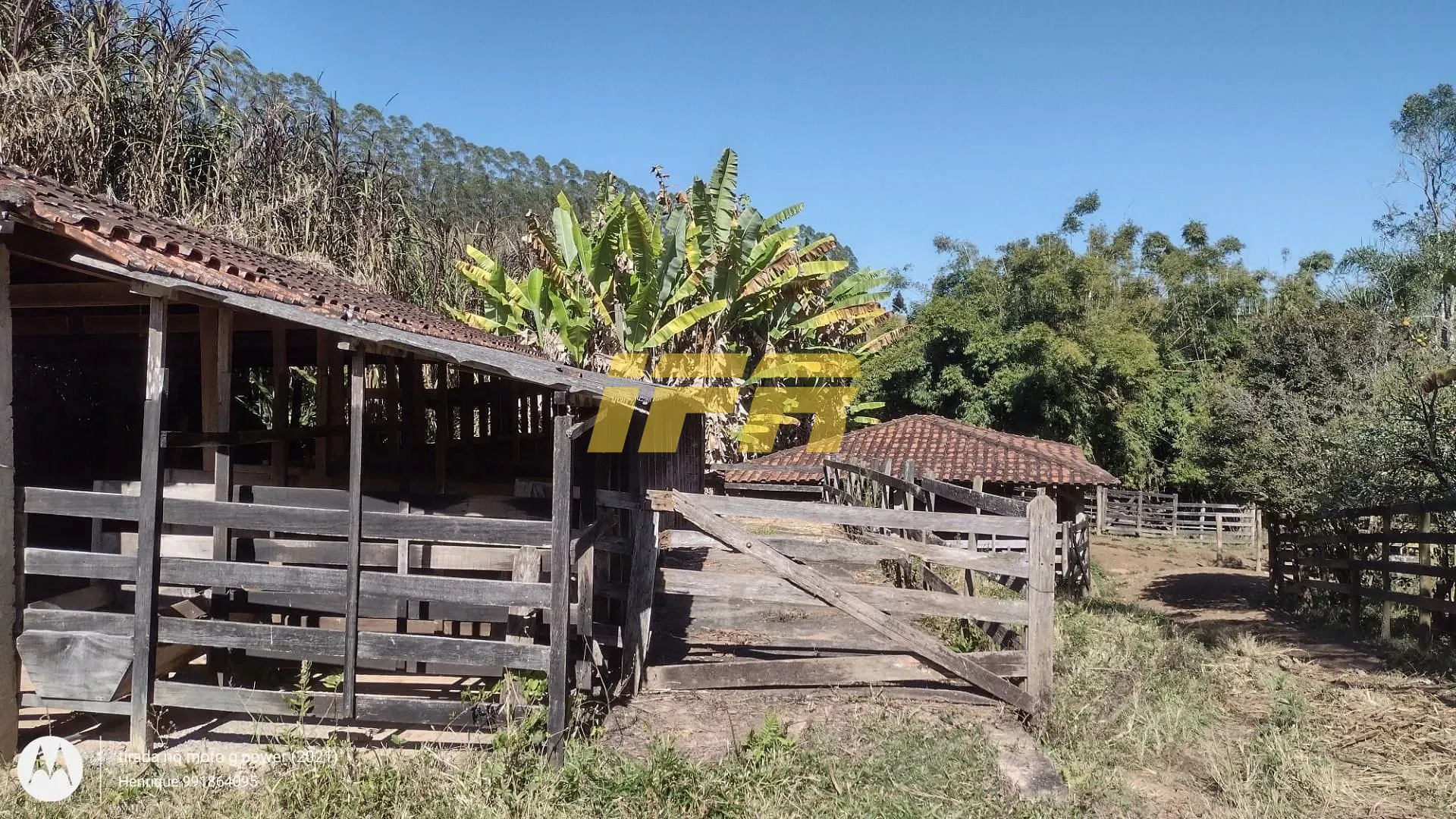 Fazenda, 31 hectares - Foto 29