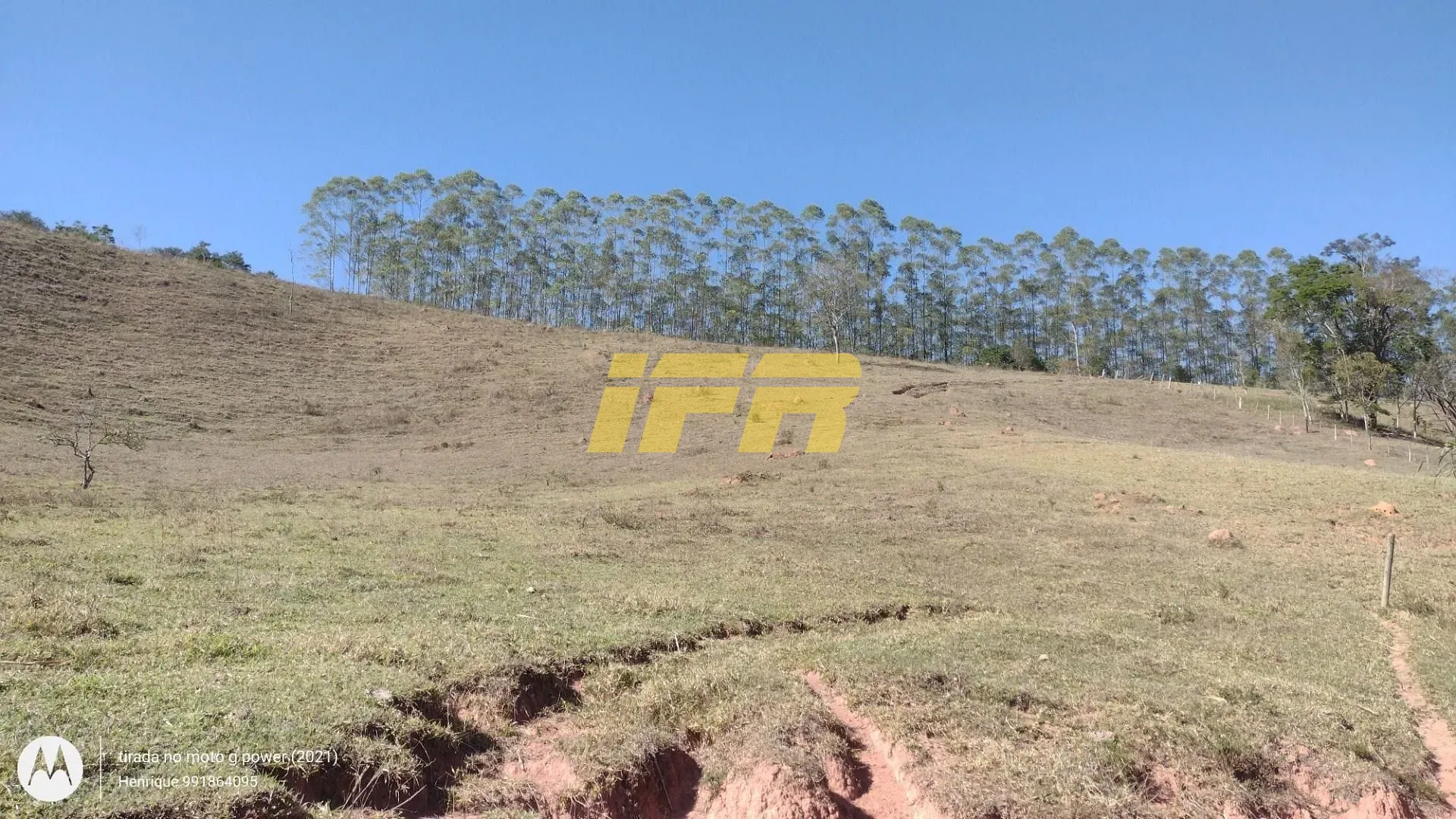 Fazenda, 31 hectares - Foto 2