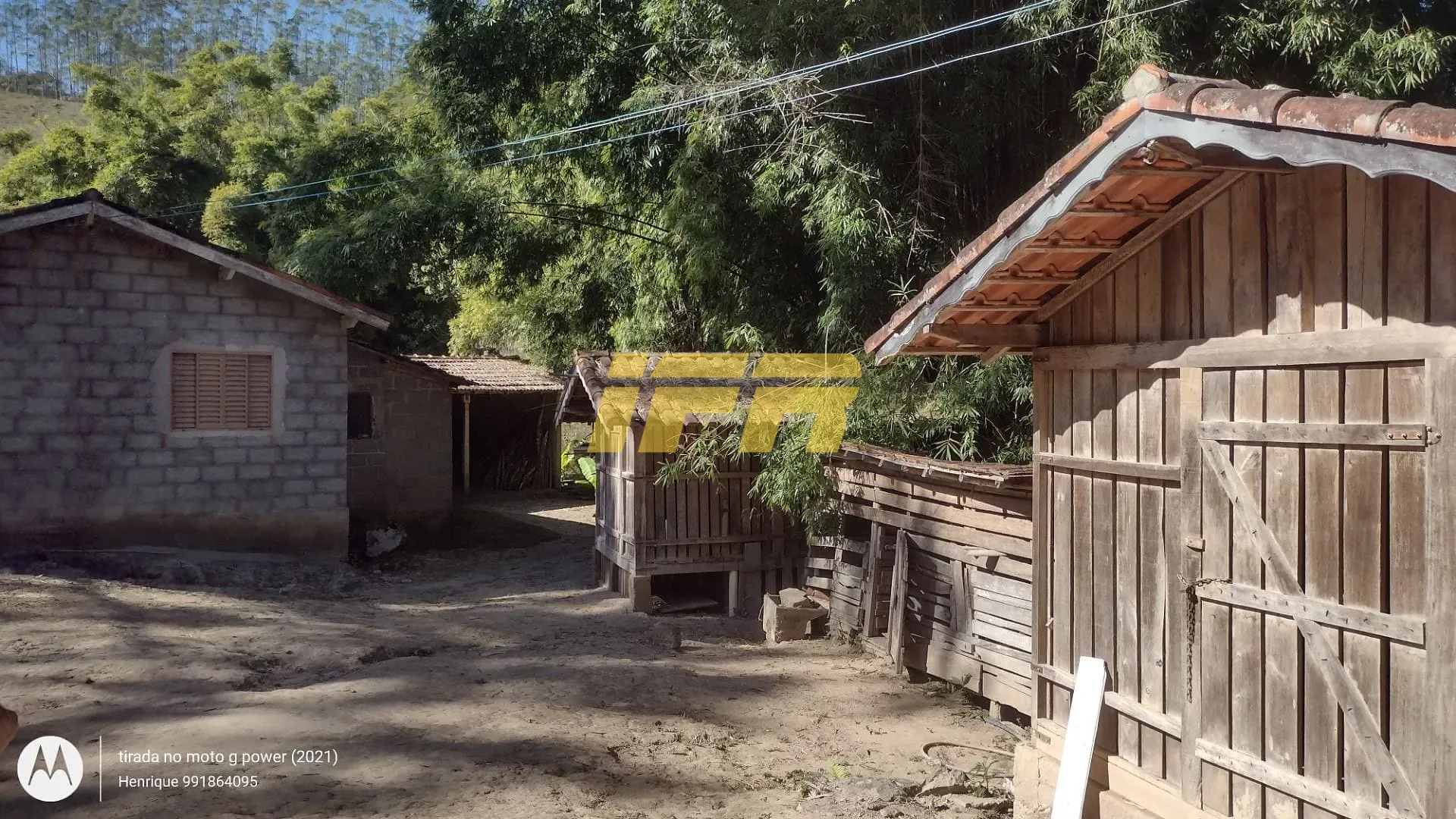 Fazenda, 31 hectares - Foto 7