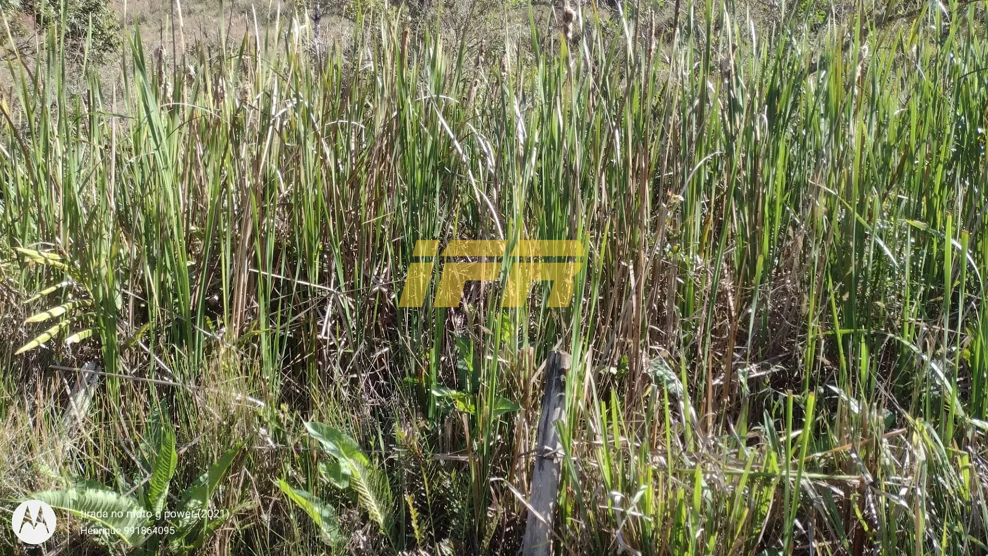Fazenda, 31 hectares - Foto 32