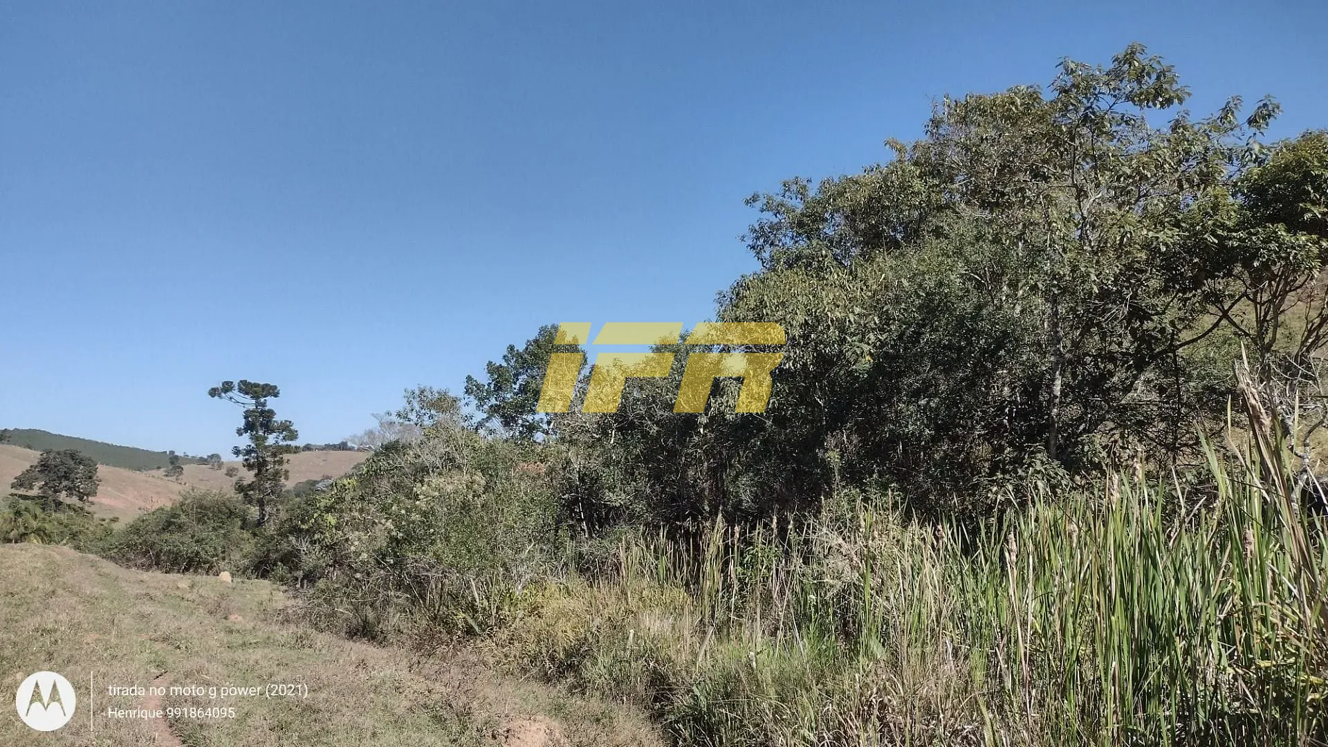 Fazenda, 31 hectares - Foto 33