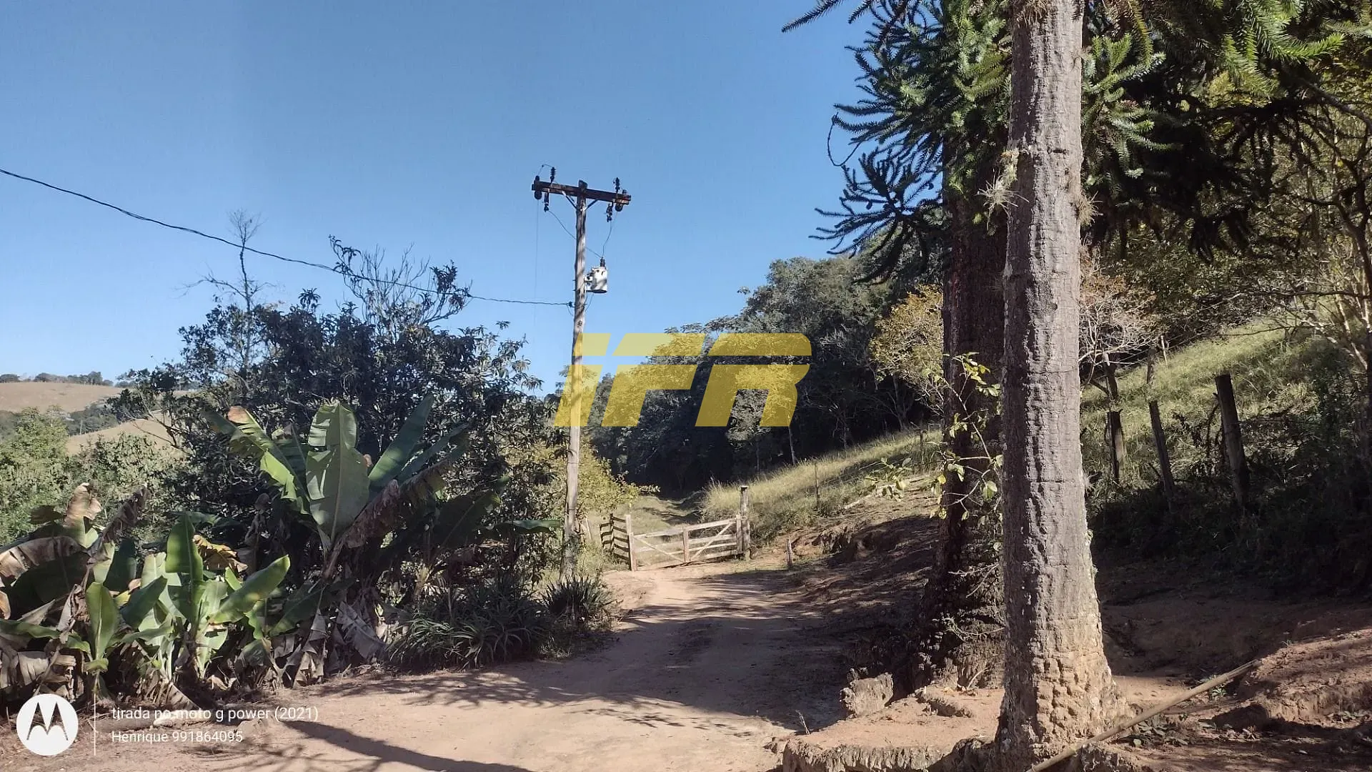 Fazenda, 31 hectares - Foto 1