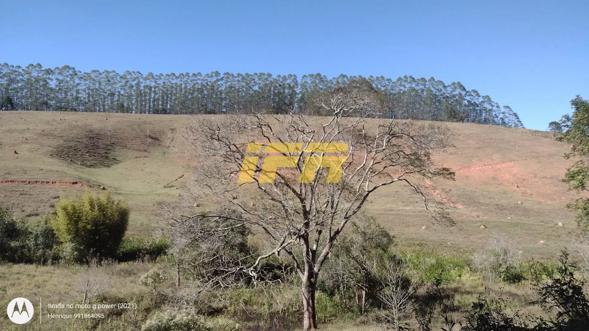 Fazenda, 31 hectares - Foto 3