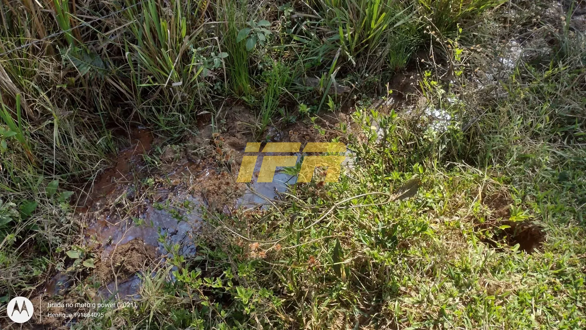 Fazenda, 31 hectares - Foto 34
