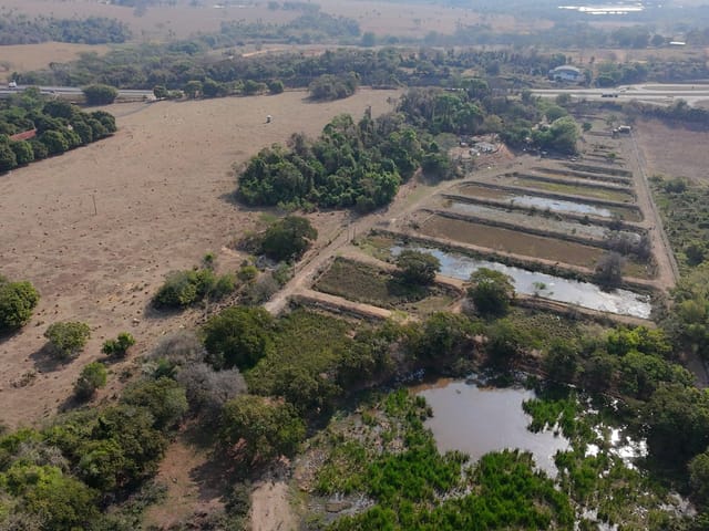 Sítio com 72600m² 2 quartos e 1 banheiro, à venda, no bairro Tanquinho Velho em Jaguariúna