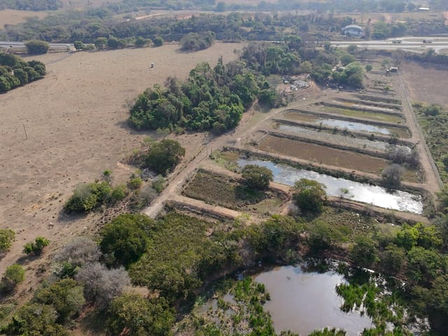 Sítio com 72600m² 2 quartos e 1 banheiro, à venda, no bairro Tanquinho Velho em Jaguariúna