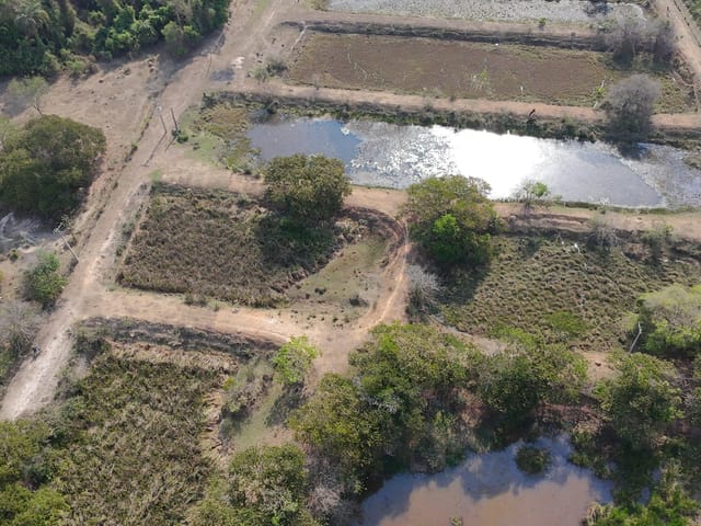 Sítio com 72600m² 2 quartos e 1 banheiro, à venda, no bairro Tanquinho Velho em Jaguariúna