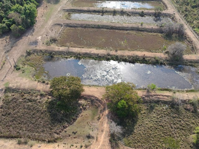 Sítio com 72600m² 2 quartos e 1 banheiro, à venda, no bairro Tanquinho Velho em Jaguariúna