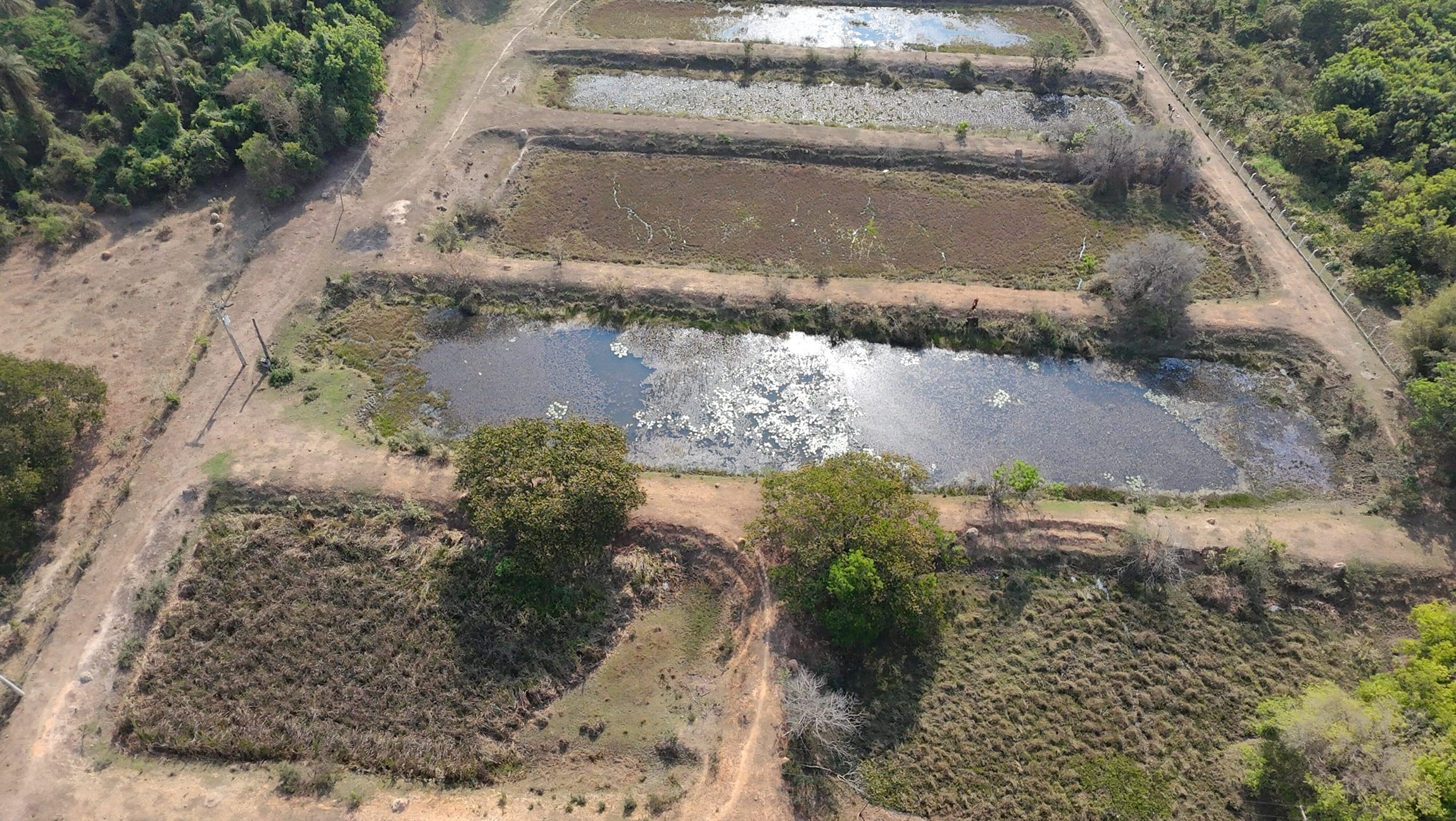 Chácara à venda com 2 quartos, 72600m² - Foto 1