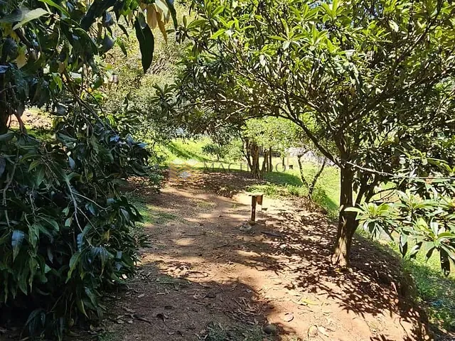 Sítio à venda, no bairro Parque Alvorada em Santana de Parnaíba