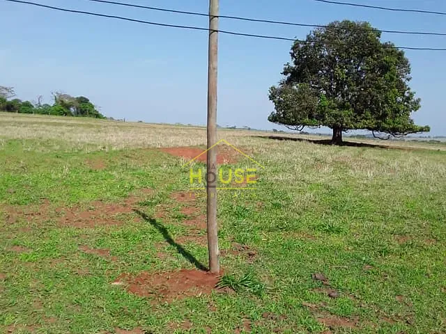 Sítio com 136000m², à venda, no bairro Jardim Alvorada em Votuporanga