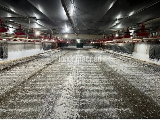 Fazenda, 10 m² - Foto 2