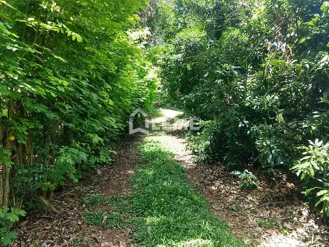 Sítio com 108900m² 3 quartos e 2 banheiros, à venda, no bairro Vila Lambari em Mococa