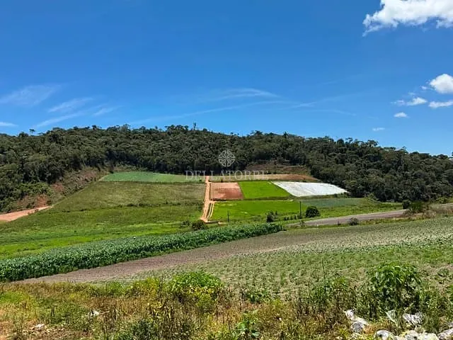 Sítio com 250000m², à venda, no bairro Vieira em Teresópolis