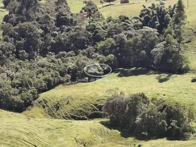 Sítio com 220000m² 3 quartos e 1 banheiro, à venda, no bairro Bocaina em Bocaina de Minas