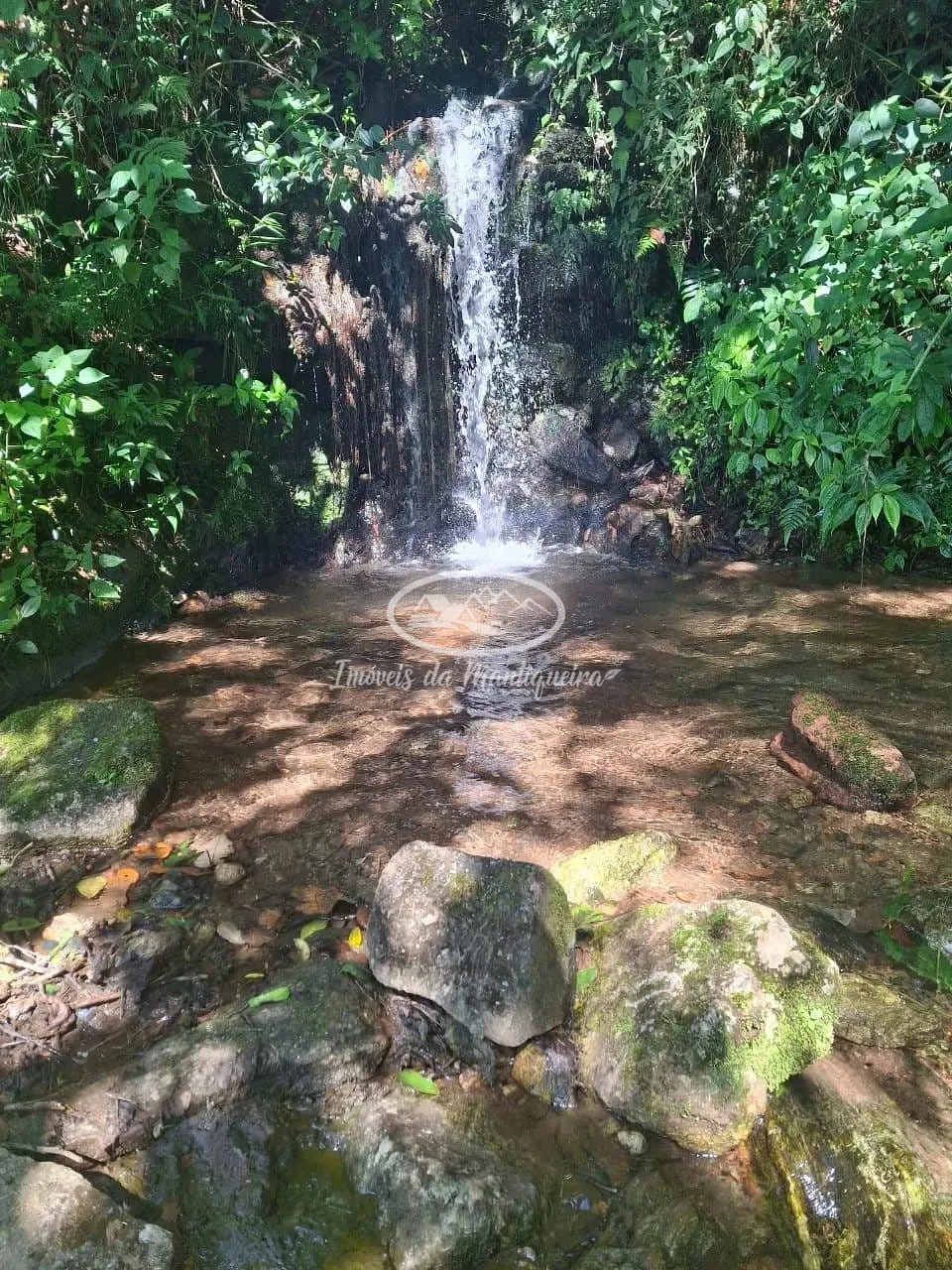 Sítio, 3 quartos, 22 hectares - Foto 7