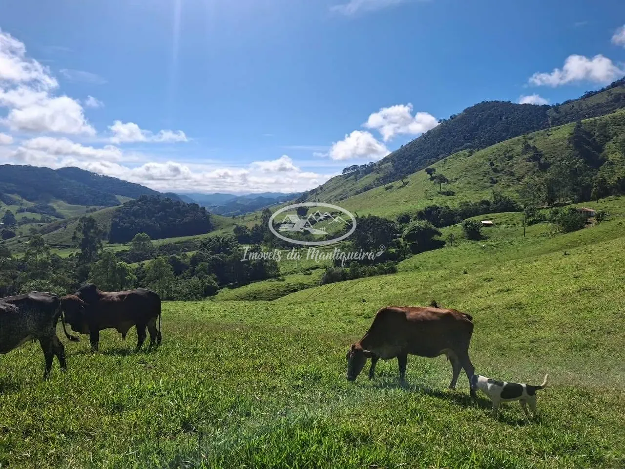 Sítio, 3 quartos, 22 hectares - Foto 8
