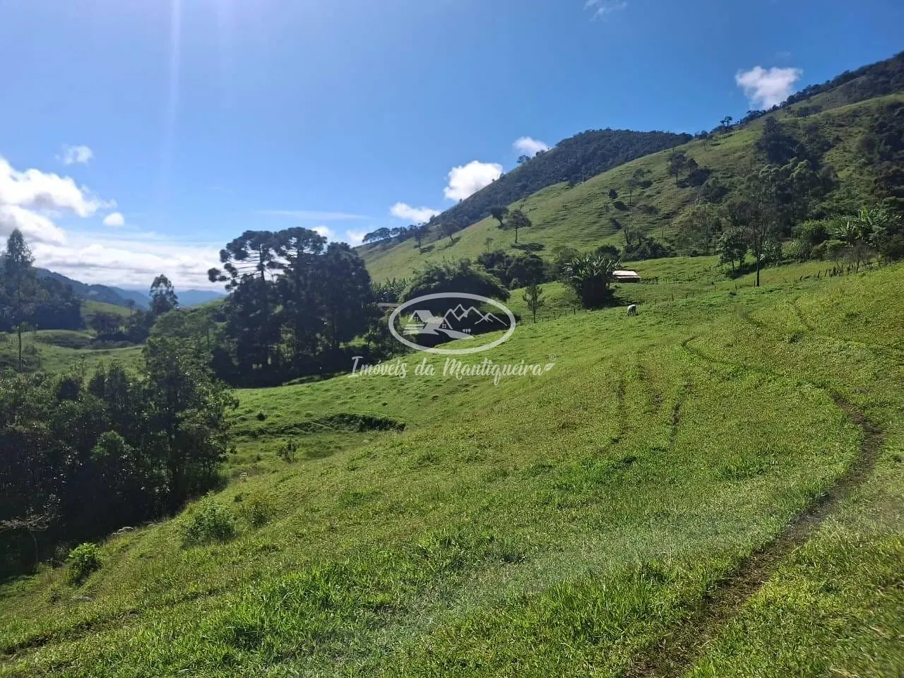 Sítio, 3 quartos, 22 hectares - Foto 12