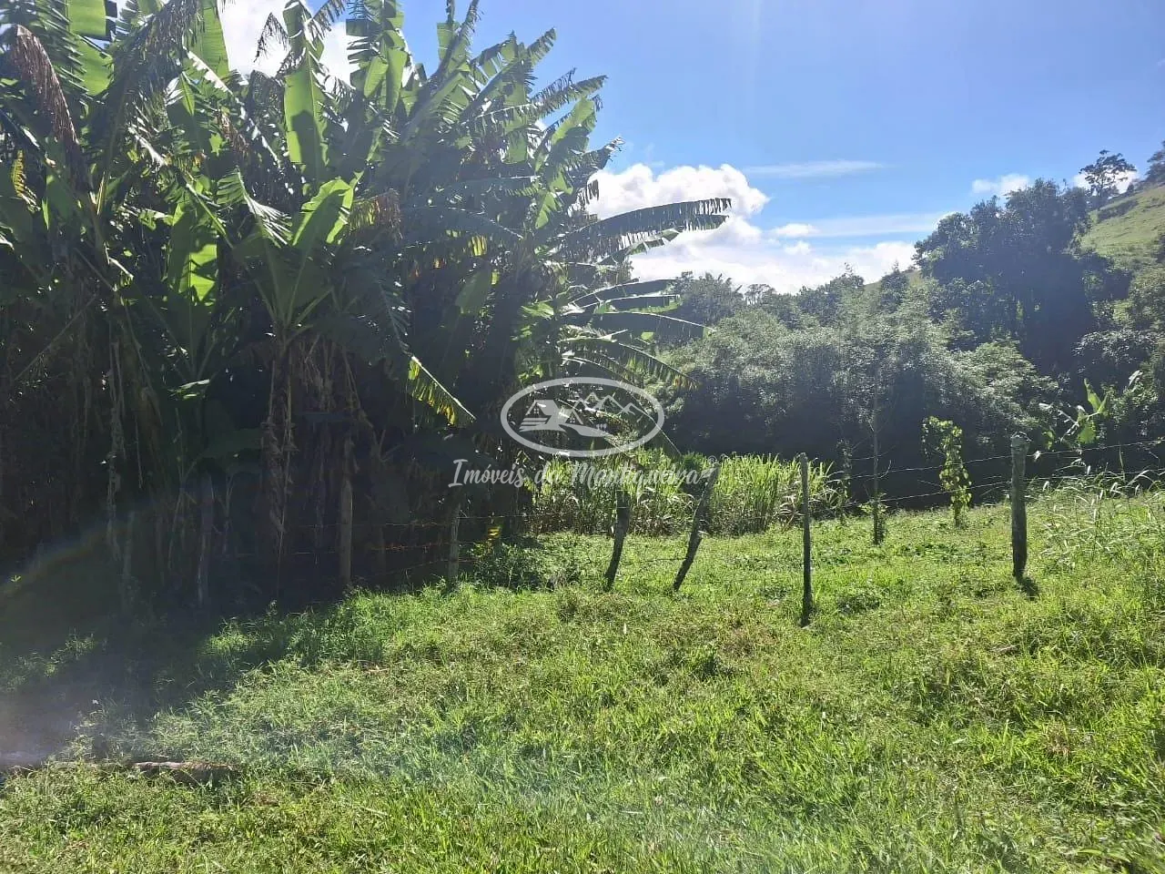 Sítio, 3 quartos, 22 hectares - Foto 17