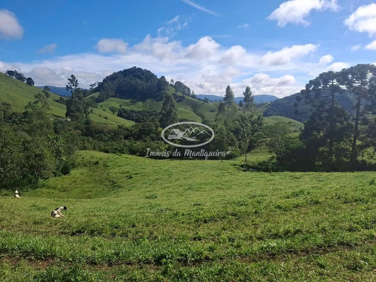 Sítio, 3 quartos, 22 hectares - Foto 18
