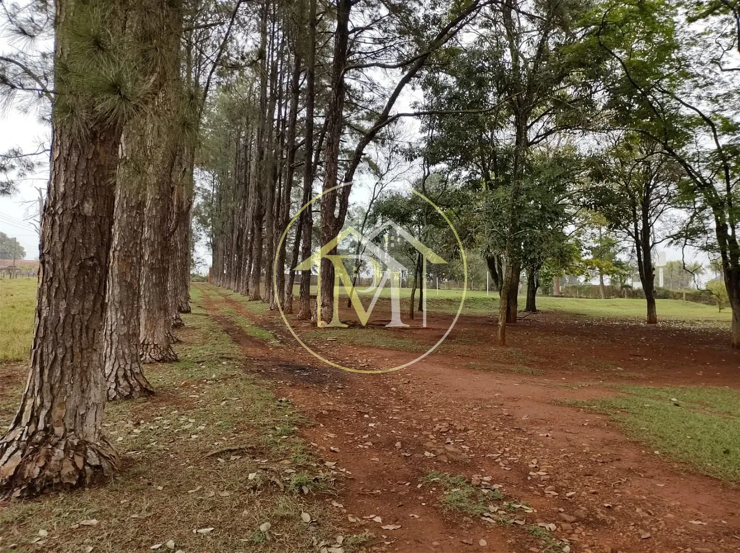Sítio, 3 quartos, 5 hectares - Foto 14
